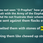 Have you not seen “O Prophet” how your Lord dealt with the Army of the Elephant?